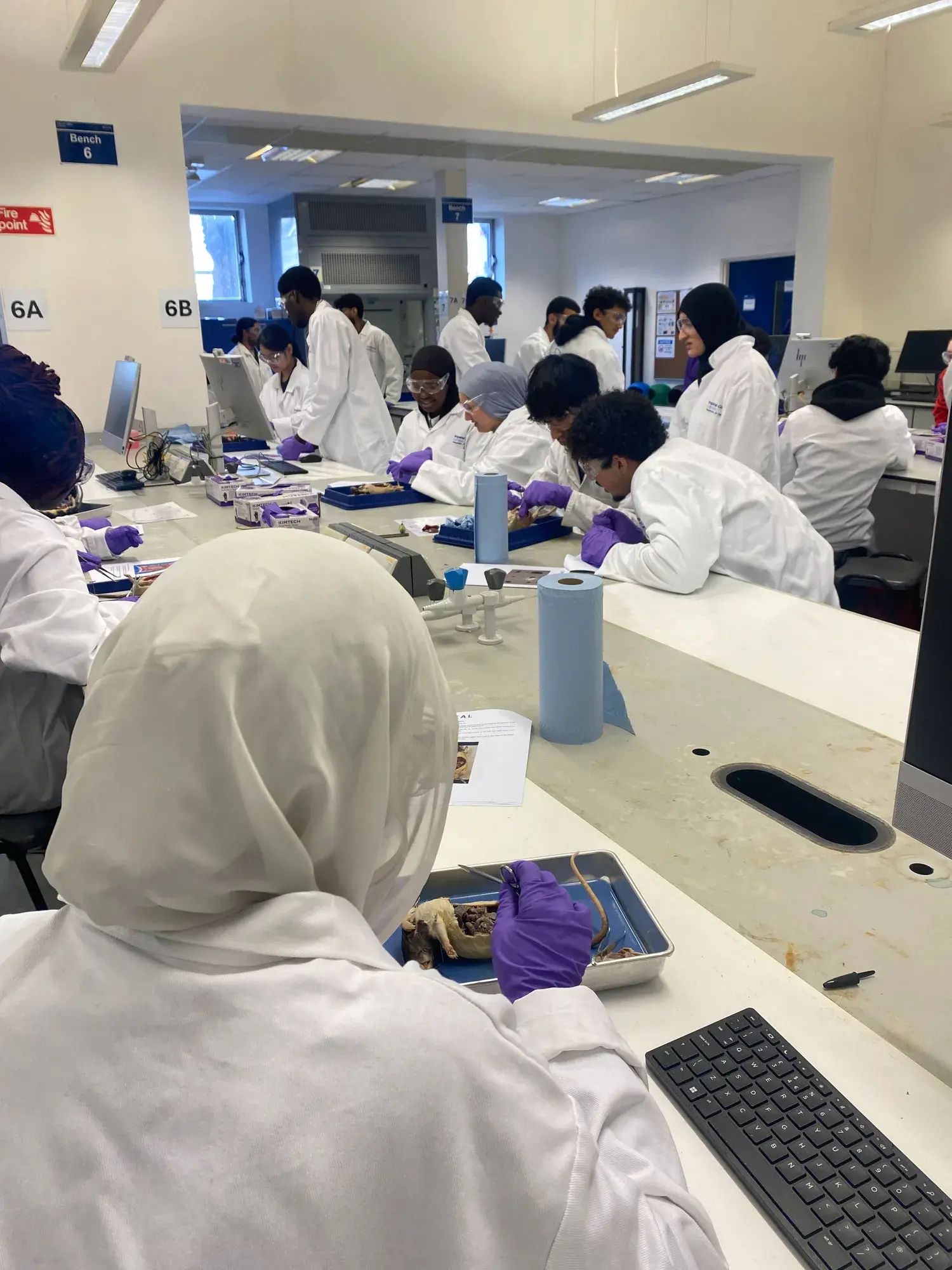 Outreach — STEM Day